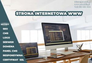 Profesjonalna strona internetowa www